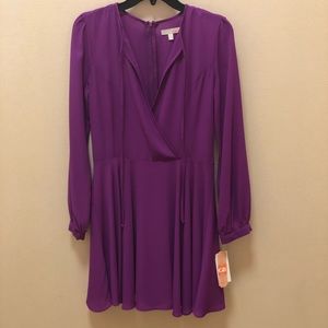 Size small purple long sleeve dress NWT